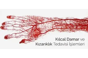Kılcal Damar Özellikleri ve Faydaları Nelerdir?